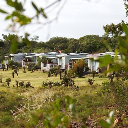 Stoneyvale Cottages Grahamstown Buitenkant foto