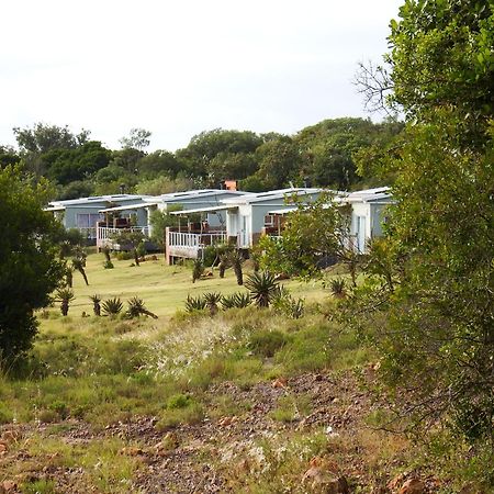 Stoneyvale Cottages Grahamstown Buitenkant foto