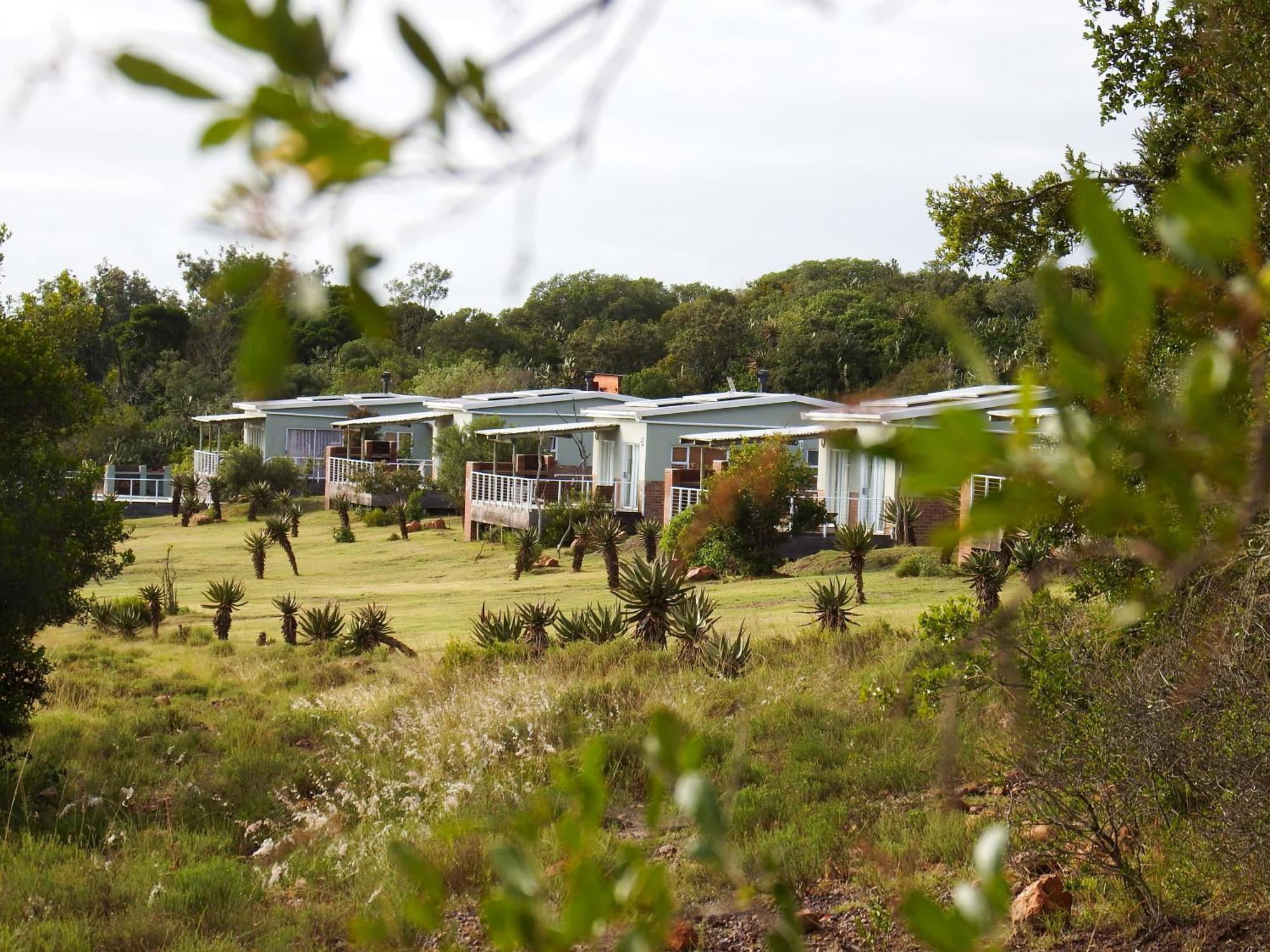 Stoneyvale Cottages Grahamstown Buitenkant foto