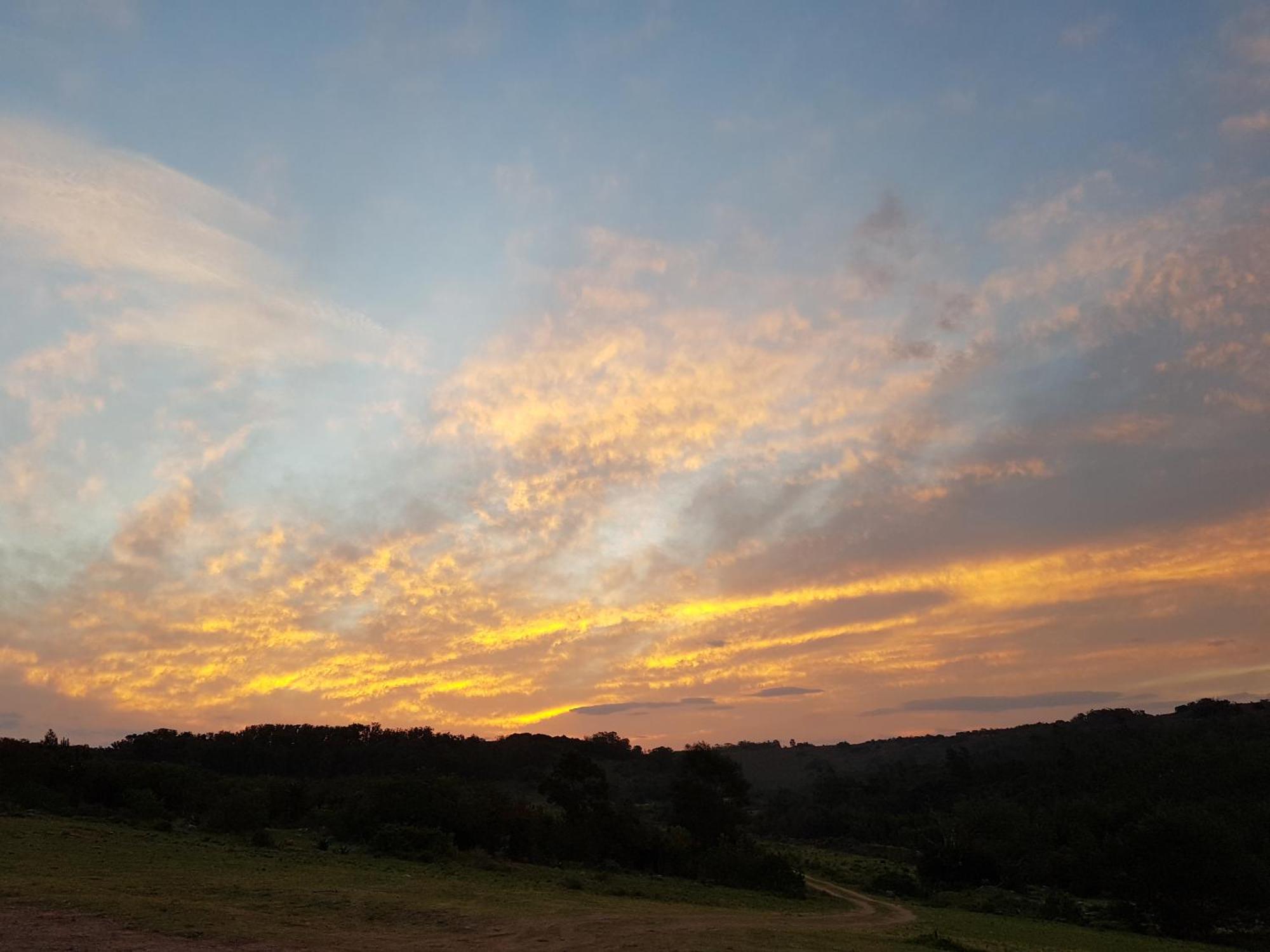 Stoneyvale Cottages Grahamstown Buitenkant foto