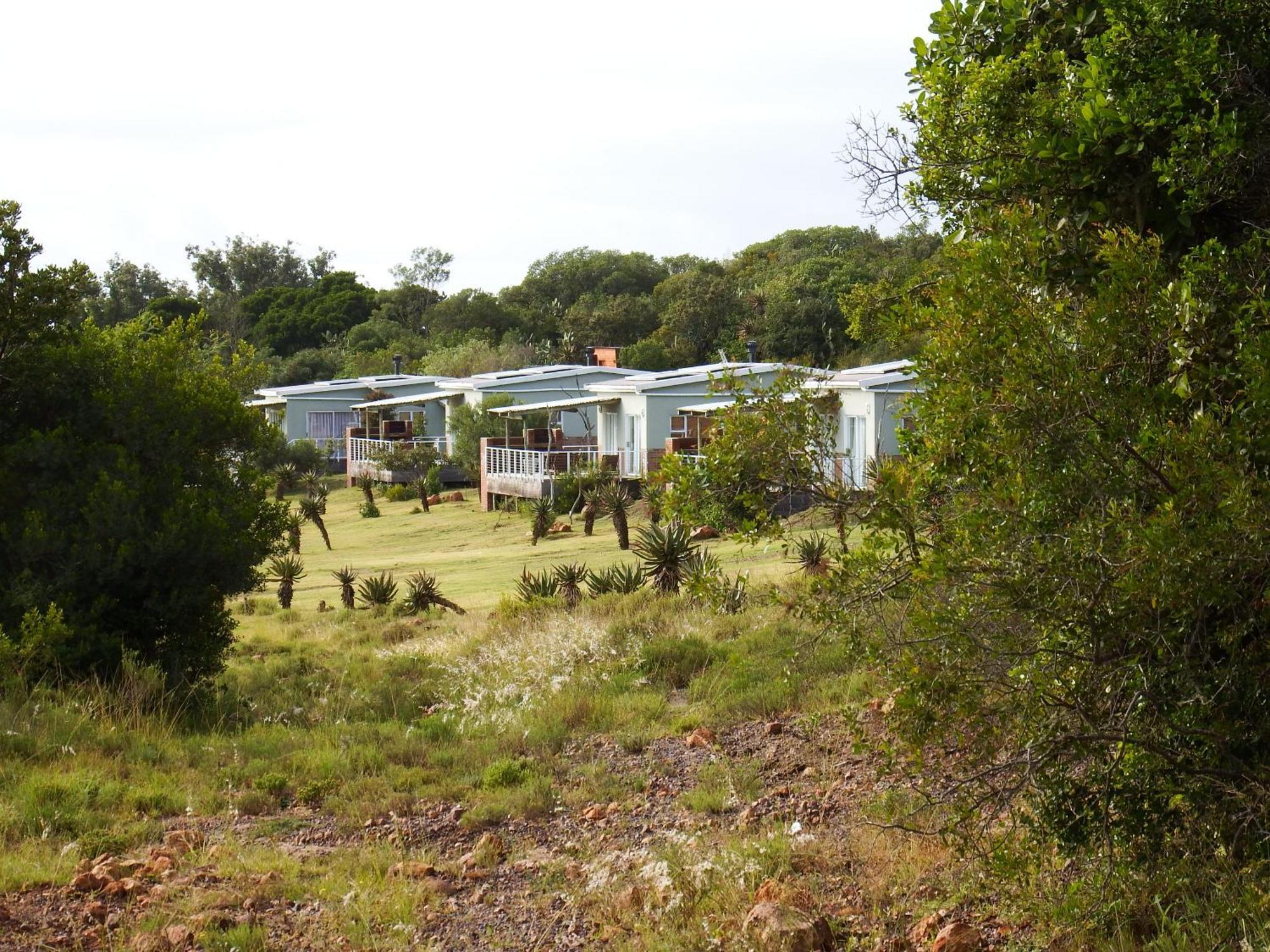 Stoneyvale Cottages Grahamstown Buitenkant foto